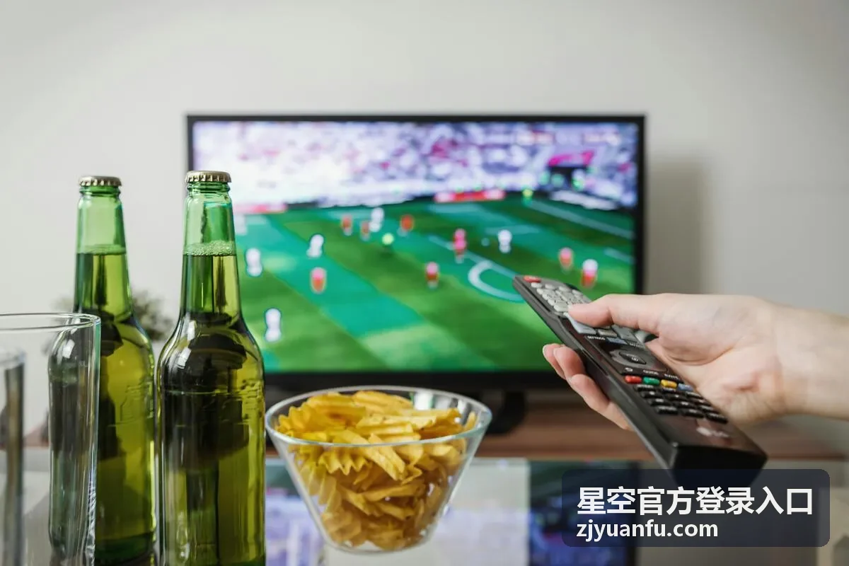 星空官方登录入口官方网站页面浏览示意图