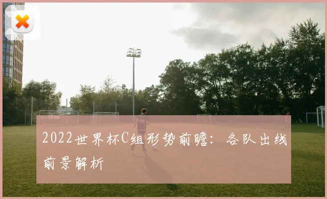2022世界杯C组形势前瞻：各队出线前景解析