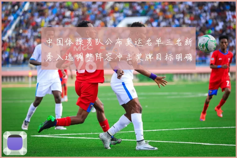 中国体操男队公布奥运名单三名新秀入选调整阵容冲击奖牌目标明确