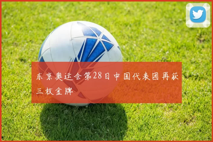 东京奥运会第28日中国代表团再获三枚金牌