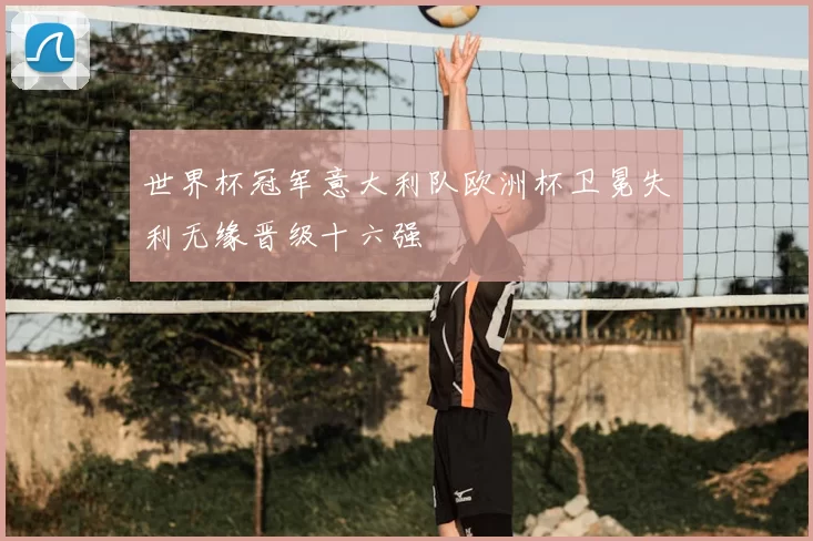 世界杯冠军意大利队欧洲杯卫冕失利无缘晋级十六强