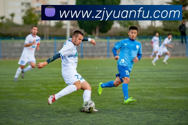 多媒体互动体验